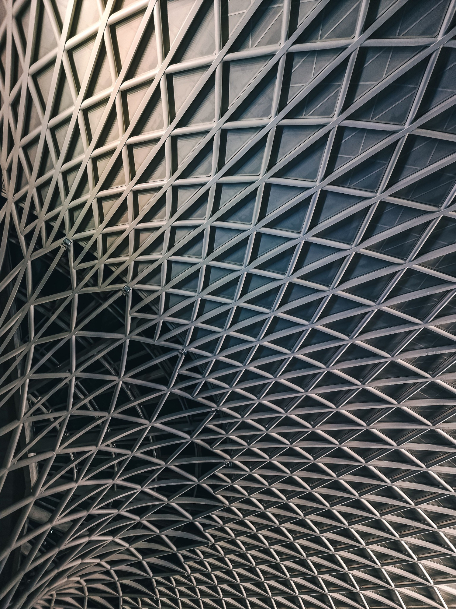 Steel lattice roof — one geometry, the whole span